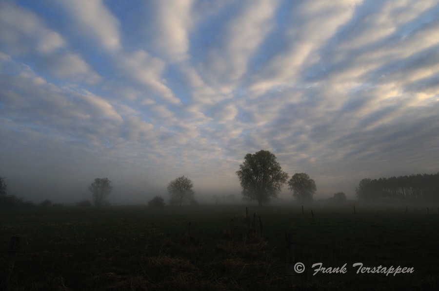 Landschapje-Elbe-FrT_4016_84832.jpg