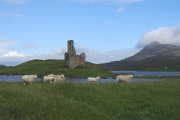 Engeland Schotland_1