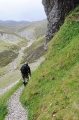 Engeland Schotland_30
