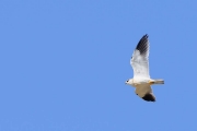 Extremadura Spanje