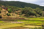 Madagascar